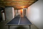 Ping Pong in the Basement